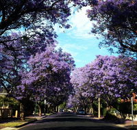 Monaco Court Apartment Adelaide - Accommodation Mermaid Beach