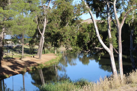 Hillside Cottage - Accommodation Mermaid Beach 11