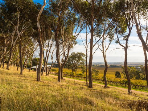 Shadow Creek McLaren Vale - Accommodation Mermaid Beach 5