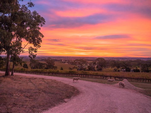 Shadow Creek McLaren Vale - Accommodation Mermaid Beach 24