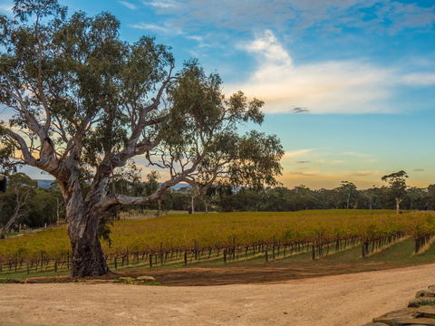 Shadow Creek McLaren Vale - Accommodation Mermaid Beach 23