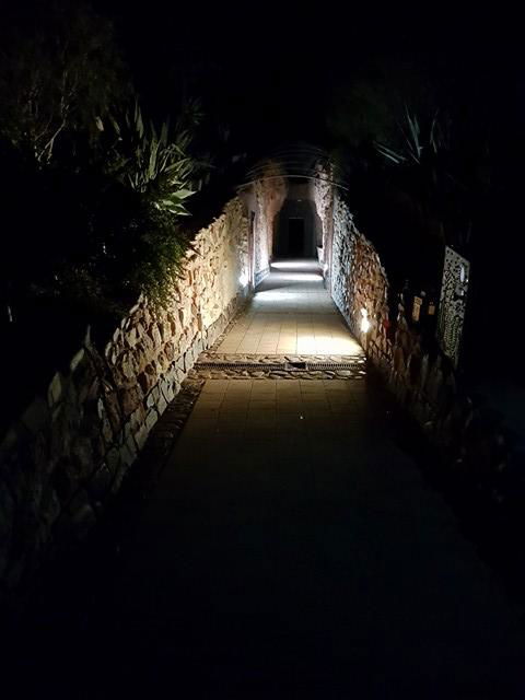 Zen Underground B&B - Accommodation Mermaid Beach 13