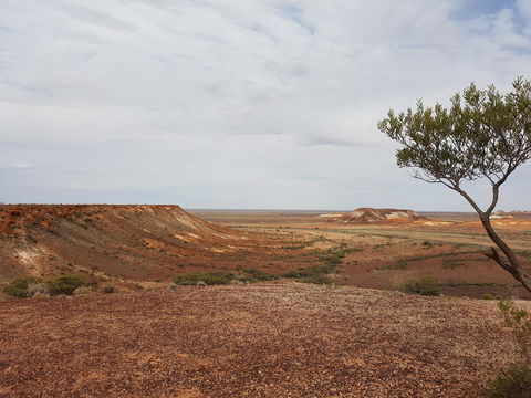 Underground Gem - Accommodation Mermaid Beach 30