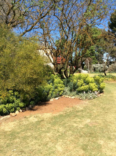 Kit Kat Cottage - Heritage Accommodation Burra - Accommodation Mermaid Beach 9