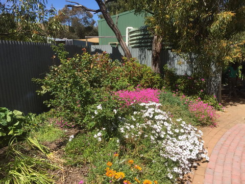 Blyth Cottage Burra - Accommodation Mermaid Beach 29