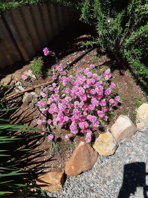 Blyth Cottage Burra - Accommodation Mermaid Beach 19