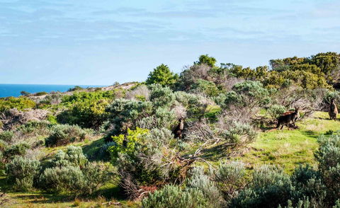 Admirals Inn - Accommodation Mermaid Beach 36