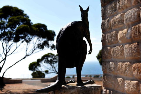 Admirals Inn - Accommodation Mermaid Beach 12