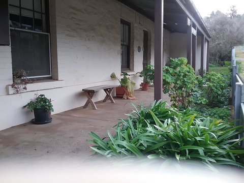 The Pig And Whistle - Accommodation Mermaid Beach 42