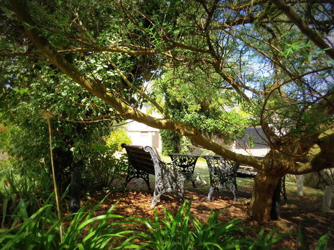 The Pig And Whistle - Accommodation Mermaid Beach 4