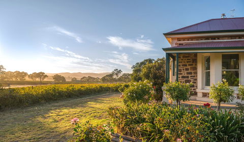 Barossa Shiraz Estate - Accommodation Mermaid Beach 6
