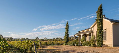 Barossa Shiraz Estate - Accommodation Mermaid Beach 13
