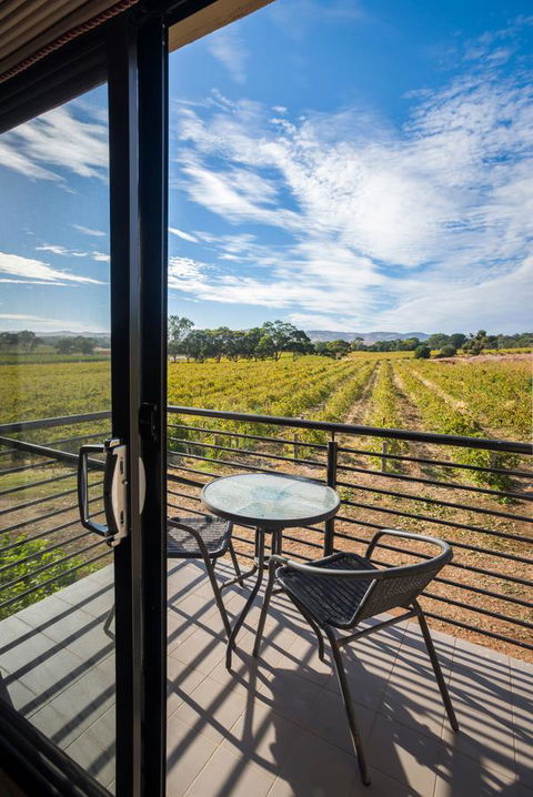 Barossa Shiraz Estate - Accommodation Mermaid Beach 33