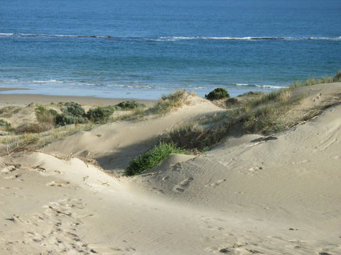 McCloud House - Accommodation Mermaid Beach 10
