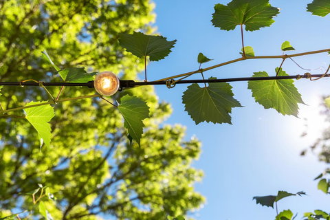 Adelaide Hills Retreats - Accommodation Mermaid Beach 32