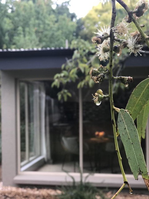 Adelaide Hills Retreats - Accommodation Mermaid Beach 9