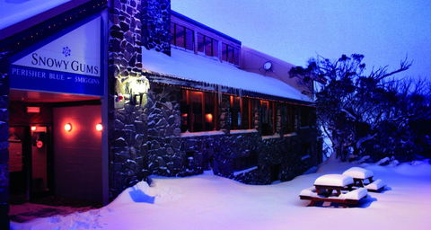 Snowy Gums Chalet - Accommodation Mermaid Beach 3