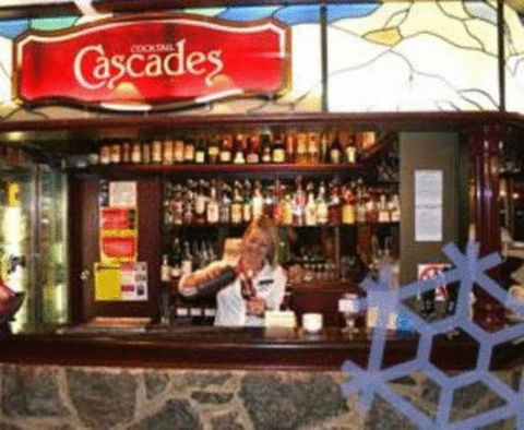 Snowy Gums Chalet - Accommodation Mermaid Beach 10