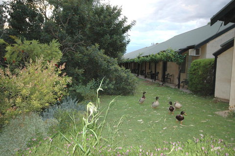 Burra Motor Inn - Accommodation Mermaid Beach 24