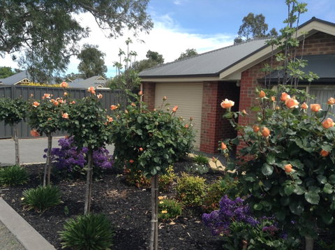 C And C Tanunda - Accommodation Mermaid Beach 1