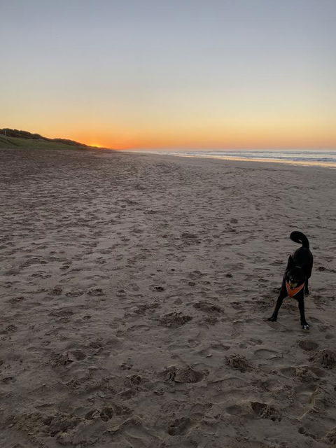 Goolwa Marinerâ€™s Cottage - Free Wifi And Pet Friendly - Centrally Located In Historic Region - Accommodation Mermaid Beach 27
