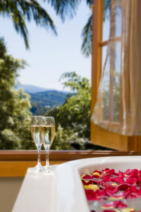 SummerHills Retreat Byron Bay - Accommodation Mermaid Beach 6