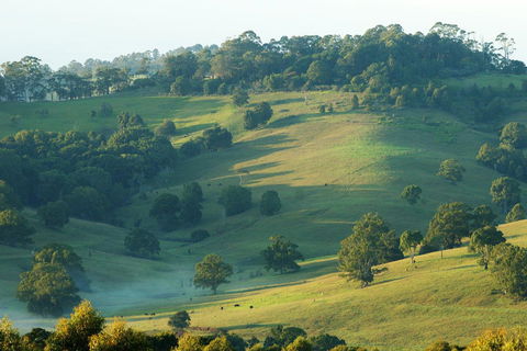 SummerHills Retreat Byron Bay - Accommodation Mermaid Beach 20