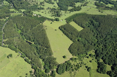 SummerHills Retreat Byron Bay - Accommodation Mermaid Beach 19