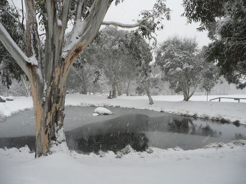 CHILL-OUT - Thredbo - Accommodation Mermaid Beach 38