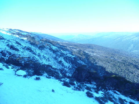 CHILL-OUT - Thredbo - Accommodation Mermaid Beach 39