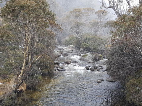 CHILL-OUT - Thredbo - Accommodation Mermaid Beach 23