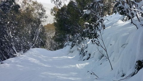 CHILL-OUT - Thredbo - Accommodation Mermaid Beach 17