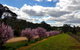 D2 At Watervale - thumb 22