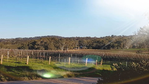 D2 At Watervale - Accommodation Mermaid Beach 23