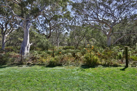 Wildwood I Pet Friendly I 5 Mins To Beach - Accommodation Mermaid Beach 17