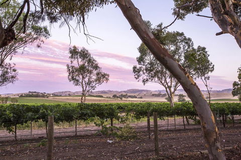 Jasmine\'s Barossa Valley Cottage - Accommodation Mermaid Beach 19