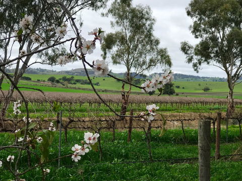 Jasmine\'s Barossa Valley Cottage - Accommodation Mermaid Beach 20