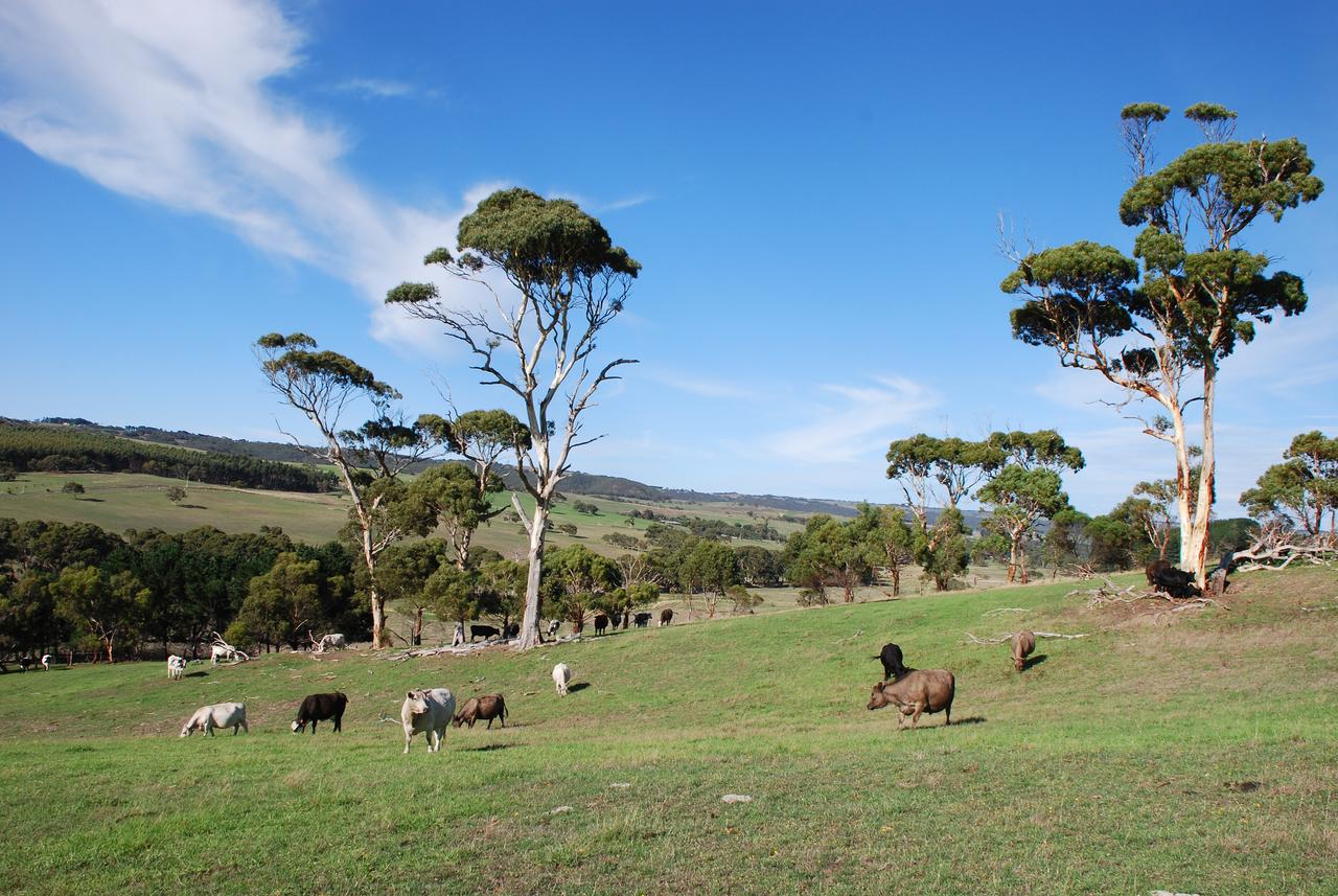 Back Valley SA Accommodation Mermaid Beach
