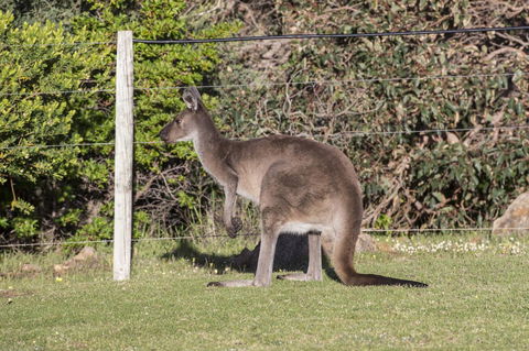 Chandlers Smiths Beach Villas - Accommodation Mermaid Beach 15