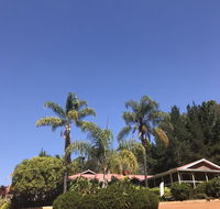 Forest Lodge Resort - Accommodation Mermaid Beach