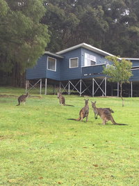 Book Denmark Accommodation Vacations Accommodation Mermaid Beach Accommodation Mermaid Beach