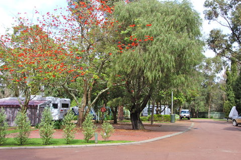 Margaret River Tourist Park - Accommodation Mermaid Beach 43