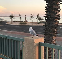 Shark Bay Seafront Apartments - Accommodation Mermaid Beach