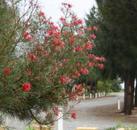 The Heights Bed  Breakfast - Accommodation Mermaid Beach
