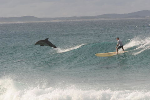 Crescent Head Spa Villa - Accommodation Mermaid Beach 22