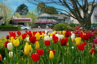 Book Leura Accommodation Vacations Accommodation Mermaid Beach Accommodation Mermaid Beach