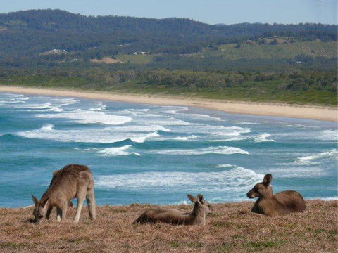 High Tide At Emerald - Accommodation Mermaid Beach 13