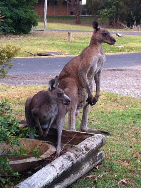 Jetz Bungalow - Accommodation Mermaid Beach 13
