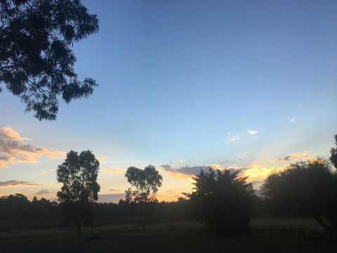 Junee Motor Inn - Accommodation Mermaid Beach 26