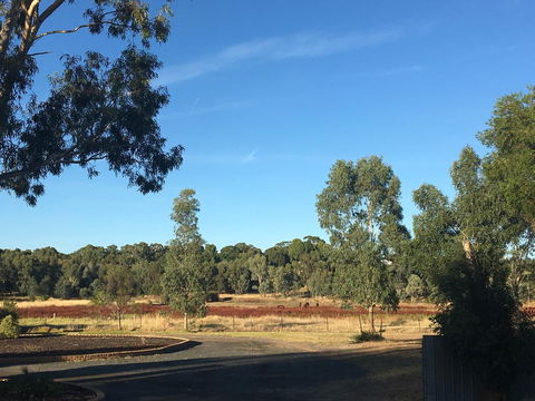 Junee Motor Inn - Accommodation Mermaid Beach 24